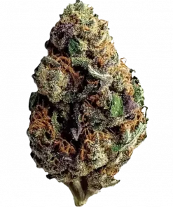 Forbidden Fruit, benzersiz meyvemsi aroması ve rahatlatıcı etkileriyle bilinen Indica baskın bir türdür. Ağrı ve uykusuzluğa iyi gelir. Etkilerini keşfedin.