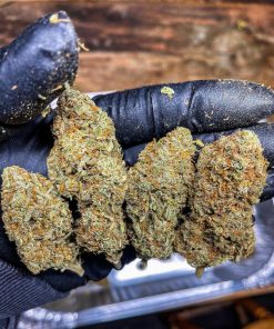 Forbidden Runtz Auto Fem Esrar Tohumu (Fast Buds)