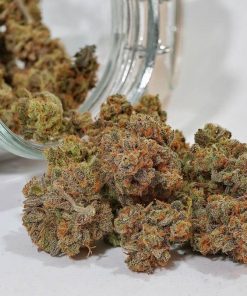 Forbidden Runtz Auto Fem Esrar Tohumu (Fast Buds)