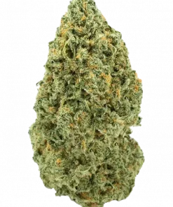 Four-Way, tatlı skunk aroması ve güçlü rahatlatıcı etkisiyle bilinen indica türüdür. Uykusuzluğa iyi gelir. Bu eşsiz türün özelliklerini keşfedin.