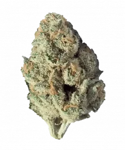 FPOG, tropikal meyve aromaları ve rahatlatıcı etkileriyle bilinen Indica baskın bir türdür. Alien Genetics imzalı bu eşsiz türü keşfedin ve özelliklerini görüntüleyin.