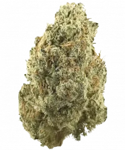 Franco’s Lemon Cheese, kimyasal limon aroması ve peynir notalarıyla öne çıkan Sativa baskın bir türdür. Canlandırıcı etkilerini ve genetik yapısını keşfedin.