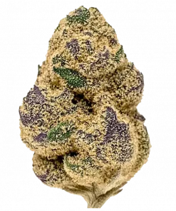 Free Mac, yakıtımsı ve narenciye aromalarıyla öne çıkan dengeli bir hibrit türdür. Yüksek THC içeriğiyle dikkat çeker. Genetik yapısını ve etkilerini keşfedin.