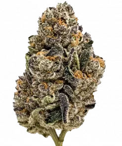 French Cookies, tatlı aroması ve enerjik etkileriyle bilinen Sativa baskın bir türdür. Orta seviyedeki THC içeriğiyle öne çıkar. Genetik yapısını keşfedin.