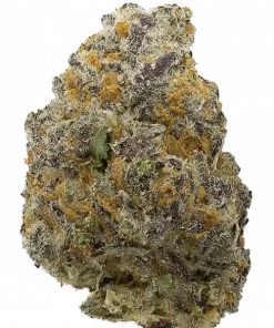 Fresca OZ, tatlı meyve ve yakıtımsı notalarıyla öne çıkan dengeli bir hibrit türdür. Yaratıcı ve rahatlatıcı etkileri keşfetmek için hemen görüntüleyin.