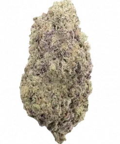 Fried Banana, tatlı muz aroması ve yüksek THC içeriğiyle bilinen bir hibrit türdür. Rahatlatıcı etkileriyle öne çıkan bu türü keşfedin.