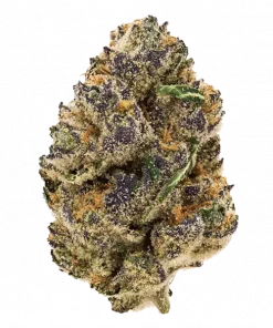 Frostade, sert narenciye aroması ve rahatlatıcı etkileriyle bilinen Indica baskın bir türdür. Yüksek verimli genetik yapısını keşfedin ve detaylı özelliklerini görüntüleyin.