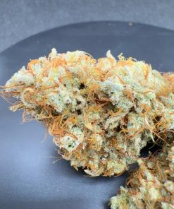 Frostbanger ™ Auto Fem Esrar Tohumu (Fast Buds)