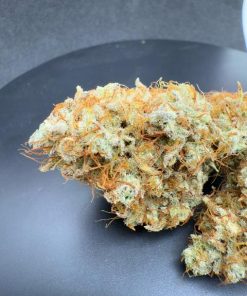 Frostbanger ™ Auto Fem Esrar Tohumu (Fast Buds)