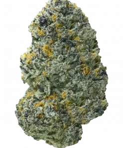 Frosted Apricots, tatlı kayısı ve yakıtımsı aromalarıyla öne çıkan dengeli bir hibrit türdür. Zihinsel ve fiziksel rahatlama sağlar. Şimdi keşfedin.