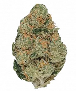 Frosted Guava Auto, tatlı aroması ve THC oranıyla dikkat çeken Indica baskın bir türdür. Hızlı çiçeklenme özelliğiyle öne çıkar. Özelliklerini keşfedin.
