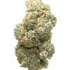Frosted Kush, toprak ve çiçeksi aromalarıyla öne çıkan Indica baskın bir türdür. Yüksek THC içeriği sayesinde eşsiz bir deneyim sunar. Özelliklerini keşfedin.