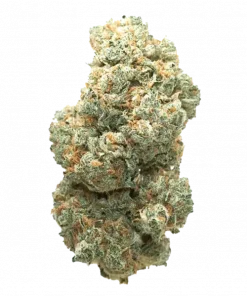 Frosted Kush, toprak ve çiçeksi aromalarıyla öne çıkan Indica baskın bir türdür. Yüksek THC içeriği sayesinde eşsiz bir deneyim sunar. Özelliklerini keşfedin.