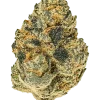 Froyo, tatlı ve kremsi lezzetiyle öne çıkan dengeli bir hibrit türdür. THC içeriğiyle yaratıcılığı artırır ve rahatlama sağlar. Özelliklerini keşfedin.