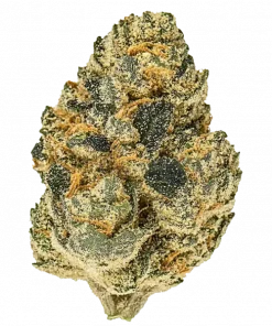 Froyo, tatlı ve kremsi lezzetiyle öne çıkan dengeli bir hibrit türdür. THC içeriğiyle yaratıcılığı artırır ve rahatlama sağlar. Özelliklerini keşfedin.