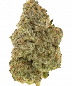 Frozen Gelato, kiraz aromalı ve yüksek THC'li dengeli bir hibrit türdür. Stres ve ağrı için ideal. Genetik yapısını keşfedin ve özelliklerini görüntüleyin.