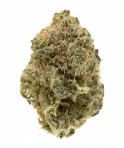 Fruit Stand, toprak ve böğürtlen aromalarıyla öne çıkan Indica baskın bir türdür. Yüksek THC içeriğiyle dikkat çeker. Genetik yapısını keşfedin ve etkilerini görüntüleyin.