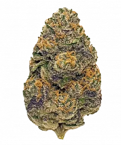 Fruity Juice, tatlı ve tropikal aromalarıyla öne çıkan Sativa baskın bir türdür. Depresyon ve stresi azaltıcı etkilerini keşfedin. Genetik yapısını görüntüleyin.