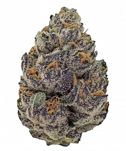 Fryday Boof, sert yakıtımsı ve orman meyvesi aromalarıyla öne çıkan güçlü bir hibrit türüdür. THC içeriğiyle dikkat çeker. Genetik yapısını keşfedin.