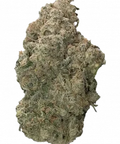 Fundip, çilek aromaları ve rahatlatıcı etkisiyle bilinen Indica dominant bir türdür. Yüksek verimi ve kısa çiçeklenme süresiyle öne çıkar. Özelliklerini keşfedin.