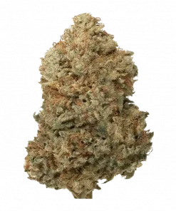 Funk Town, sert yakıt aroması ve yüksek THC içeriğiyle bilinen bir indica türüdür. Billy Kimber ve Black Cherry Zkittlez genetiğini keşfedin.