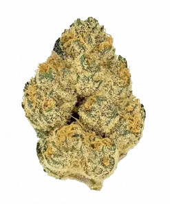 Funky Charms, vanilya ve narenciye aromalı, yüksek THC'li dengeli bir hibrit türdür. Yaratıcılığı artıran ve rahatlatan bu türü keşfedin.