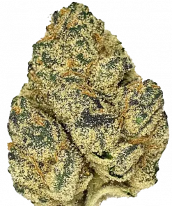 Funnel Cake, tatlı orman meyveleri aroması ve yüksek THC içeriğiyle bilinen Indica baskın bir türdür. Etkilerini ve genetik yapısını keşfedin.