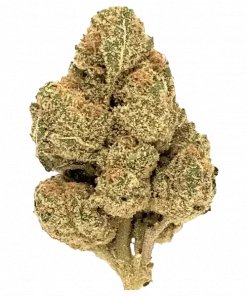 Future X, yakıtımsı ve limon aromalarıyla öne çıkan Indica baskın bir türdür. Yüksek THC içeriğiyle dikkat çeken bu türün genetik yapısını keşfedin.