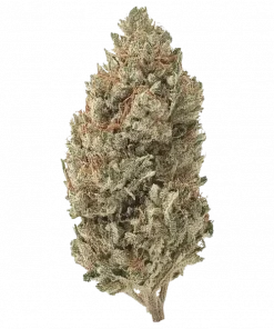 Fuzzy Dice, karpuz ve elma aromalı, yüksek THC'li bir Sativa türüdür. Enerji veren yapısıyla gün boyu keyifli bir deneyim sunar. Özelliklerini keşfedin.