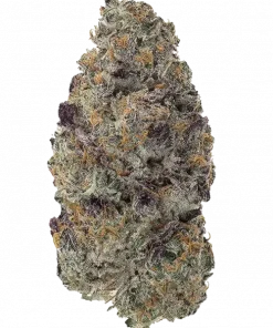 FX3, tropikal aromaları ve sosyal etkileriyle öne çıkan dengeli bir türdür. Yüksek THC içeriğiyle enerji verir. FX3'ün eşsiz özelliklerini keşfedin.