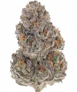 G.R.E.A.M., yakıtımsı ve limon aromalı, yüksek THC'li bir hibrit türdür. Dengeli etkileriyle öne çıkar. Bu eşsiz türün genetik yapısını keşfedin.