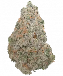 G-Ride, sert yakıtımsı aroması ve rahatlatıcı etkileriyle bilinen dengeli bir hibrit türdür. Stresi azaltmak ve ruh halini iyileştirmek için hemen keşfedin.