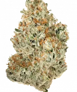 G-Runtz, yakıtımsı aroması ve yüksek THC içeriğiyle öne çıkan bir indica türüdür. Tatlı meyve notalarıyla benzersiz genetik yapısını keşfedin ve etkilerini görüntüleyin.