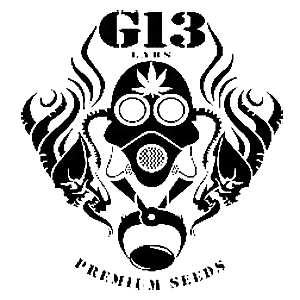 G13 Labs