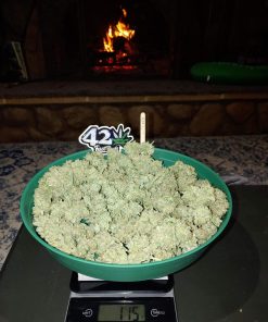 G14 Auto Fem Esrar Tohumu (Fast Buds)