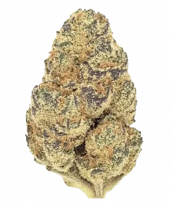 Galaktik Üzüm, sert aroması ve dengeli yapısıyla öne çıkan nadir bir hibrit türdür. Stardawg ve Grape Diamonds genetiğini keşfedin ve eşsiz etkilerini görüntüleyin.