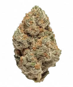 Galactic Runtz, limon aromaları ve yüksek THC içeriğiyle öne çıkan Indica baskın bir türdür. Rahatlatıcı etkilerini ve genetik yapısını keşfedin.