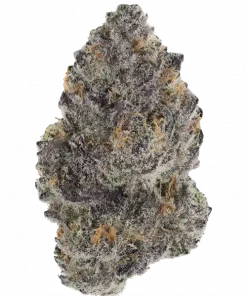 Game Over, limon ve meyve kokteyli aromalarıyla öne çıkan Sativa baskın bir türdür. Enerji verici etkileriyle dikkat çeker. Genetik yapısını keşfedin.