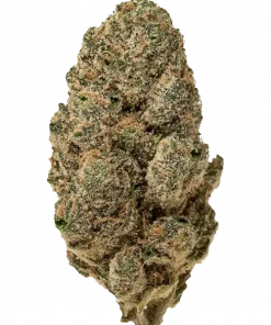 Garlic Breath, sert sarımsak aromasıyla öne çıkan indica dominant bir türdür. Yüksek verimi ve güçlü etkileriyle bilinir. Bu eşsiz türü keşfedin.