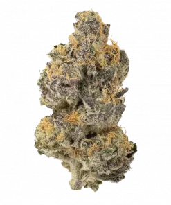 Garlic, toprak ve baharat aromalı, rahatlatıcı etkisiyle bilinen bir Indica türüdür. Spazm ve ağrıları hafifletmeye yardımcı olabilir. Özelliklerini keşfedin.