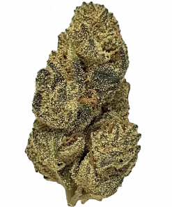 Garlic Drip, sert aroması ve yüksek THC içeriğiyle bilinen Indica baskın bir türdür. GSC ve Chemdawg genetiğini keşfedin ve etkilerini görüntüleyin.