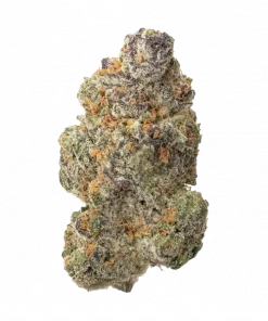 Garlic Fumez, sert yakıtımsı aroması ve yüksek THC içeriğiyle öne çıkan Indica dominant bir türdür. Etkilerini ve genetik yapısını keşfedin.