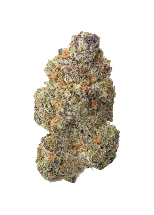 Garlic Fumez, sert yakıtımsı aroması ve yüksek THC içeriğiyle öne çıkan Indica dominant bir türdür. Etkilerini ve genetik yapısını keşfedin.