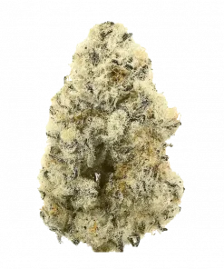 Garlic Glue, ceviz aromalı ve rahatlatıcı etkisiyle öne çıkan Indica dominant bir türdür. Depresyon ve iştah kaybı için ideal. Genetik yapısını keşfedin.