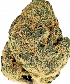 Garlic Mints, sert sarımsak aroması ve yüksek THC içeriğiyle bilinen Indica dominant bir türdür. Spazm ve stres için ideal. Genetik yapısını keşfedin.