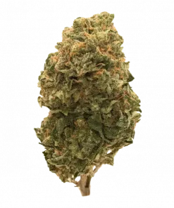 Garlic Storm, tatlı meyve aromaları ve yüksek THC içeriğiyle bilinen Indica baskın bir türdür. Stres ve iştah sorunlarına doğal çözüm için hemen keşfedin.