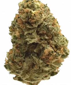 Garlotti, baharatlı aroması ve rahatlatıcı etkisiyle öne çıkan Indica baskın bir türdür. Chemdawg ve Gelatti genetiğini keşfedin ve faydalarını görüntüleyin.