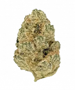 Gary Satan, yakıtımsı aroması ve yüksek THC içeriğiyle öne çıkan Indica baskın bir türdür. Depresyon ve stresi azaltan etkilerini keşfedin ve genetik yapısını görüntüleyin.