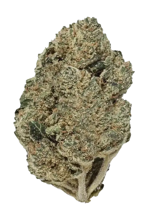 Gas Candy, tatlı ve yakıtımsı aromasıyla öne çıkan dengeli bir hibrit türdür. Stres ve kaygıya karşı potansiyel faydaları keşfedin. Şimdi görüntüleyin.