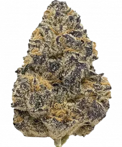 Gas Face, sert yakıtımsı aroması ve yüksek THC içeriğiyle bilinen Indica dominant bir türdür. Benzersiz genetik yapısını keşfedin ve etkilerini görüntüleyin.